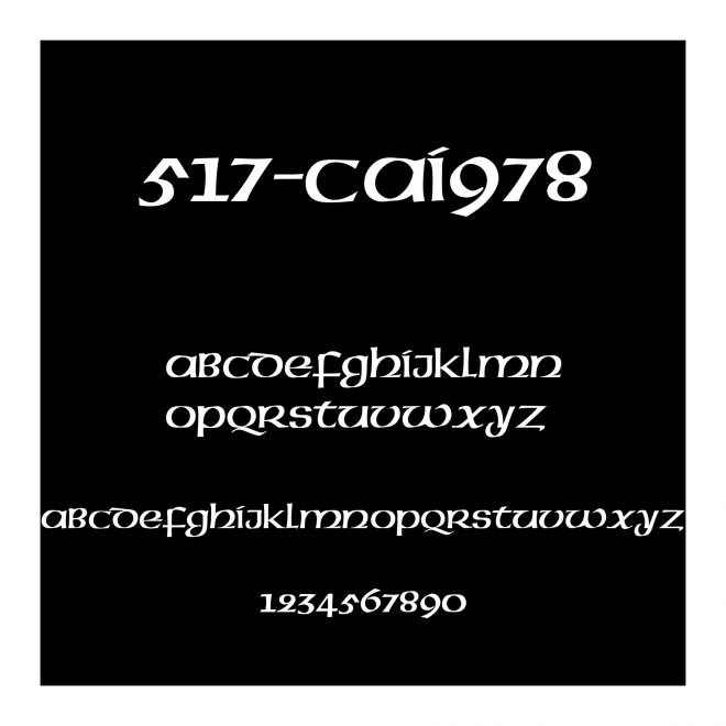 517-CAI978