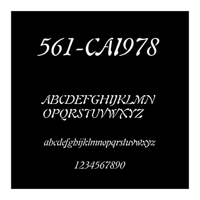 561-CAI978