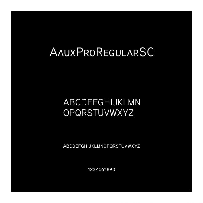AauxProRegularSC
