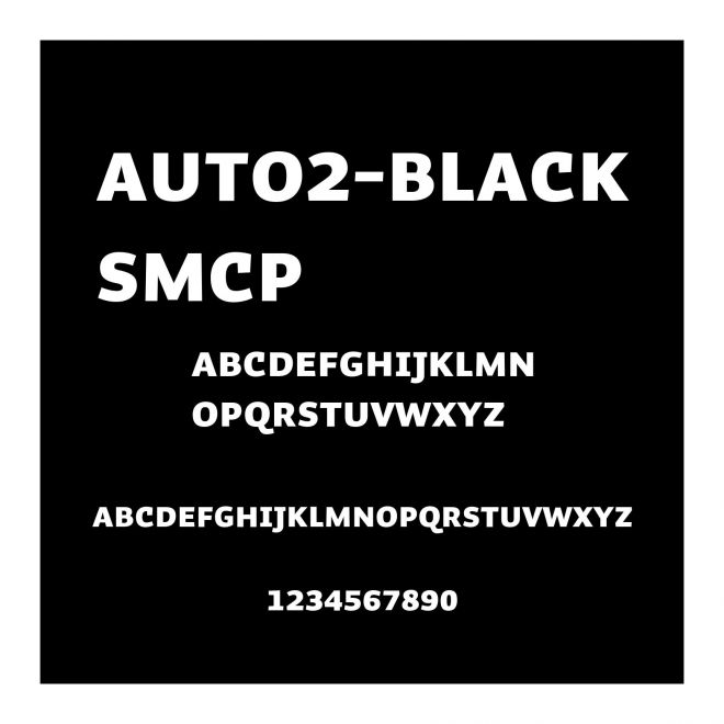 Auto2-BlackSmCp