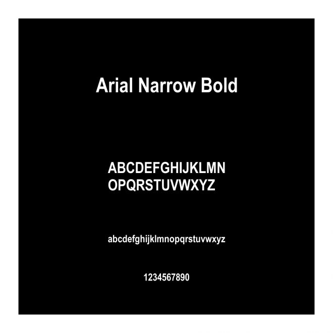 Arial Narrow Bold