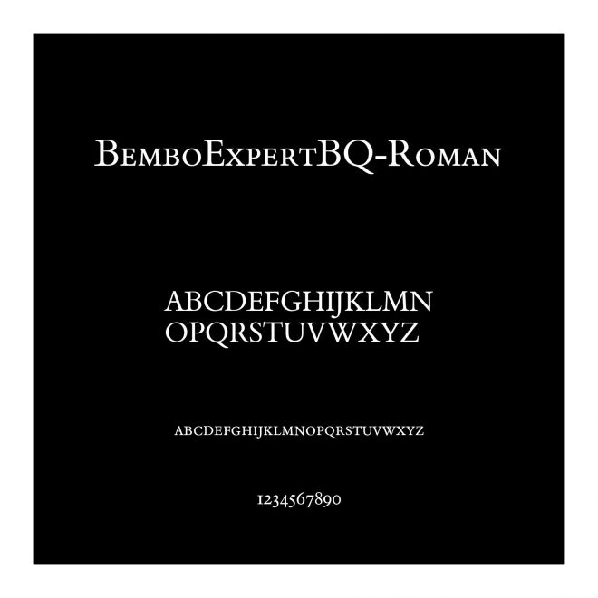 BemboExpertBQ-Roman