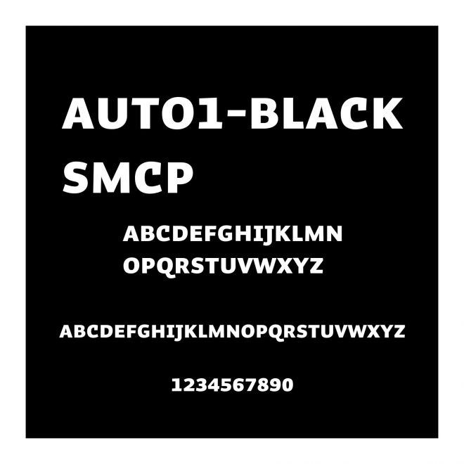 Auto1-BlackSmCp