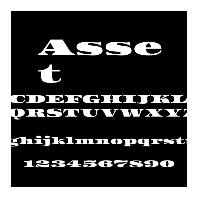 Asset