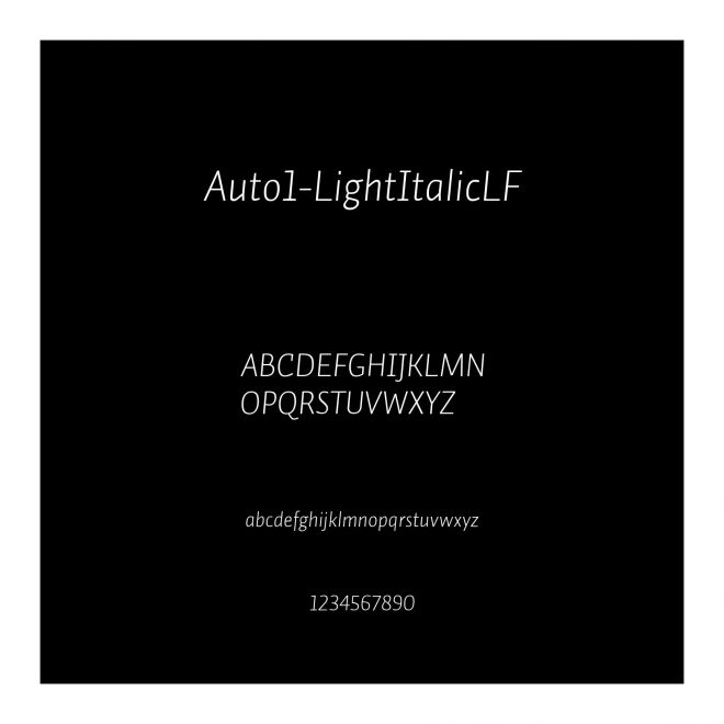 Auto1-LightItalicLF