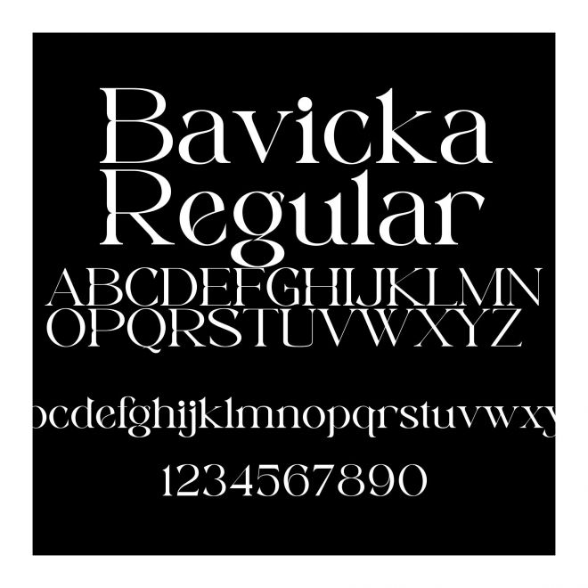 BavickaRegular
