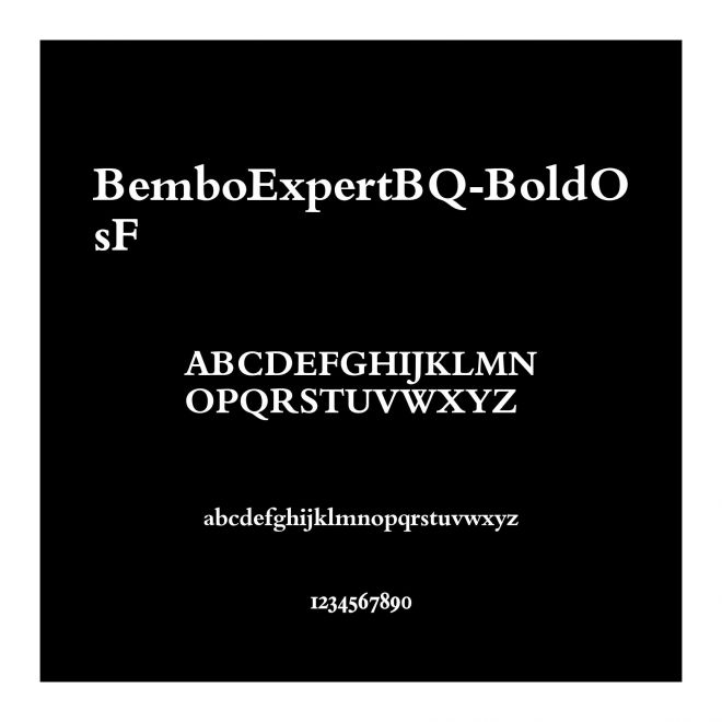 BemboExpertBQ-BoldOsF