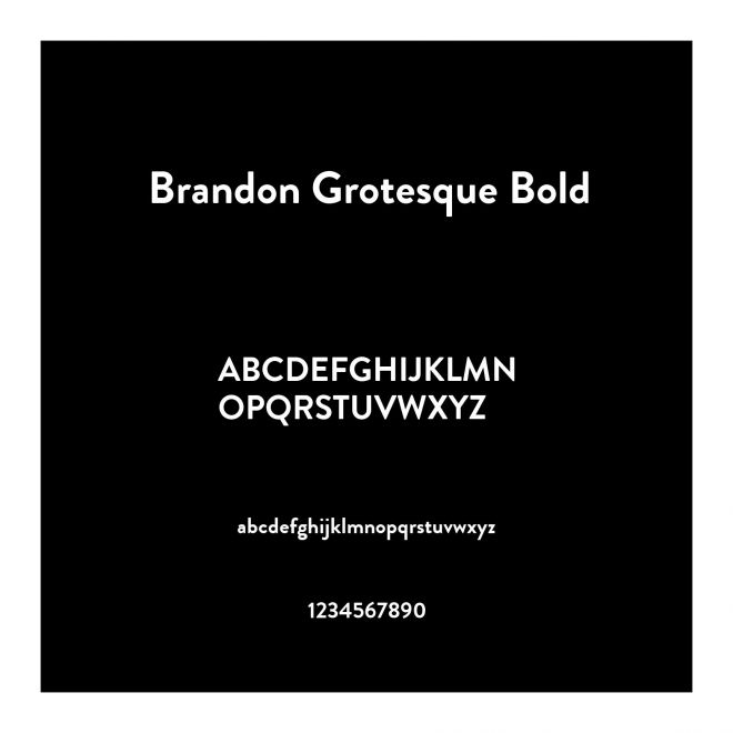 Brandon Grotesque Bold