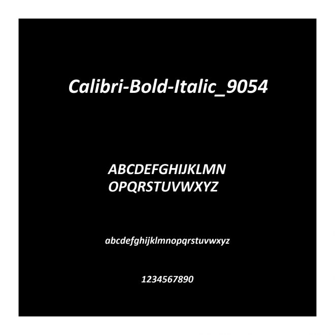 Calibri-Bold-Italic_9054