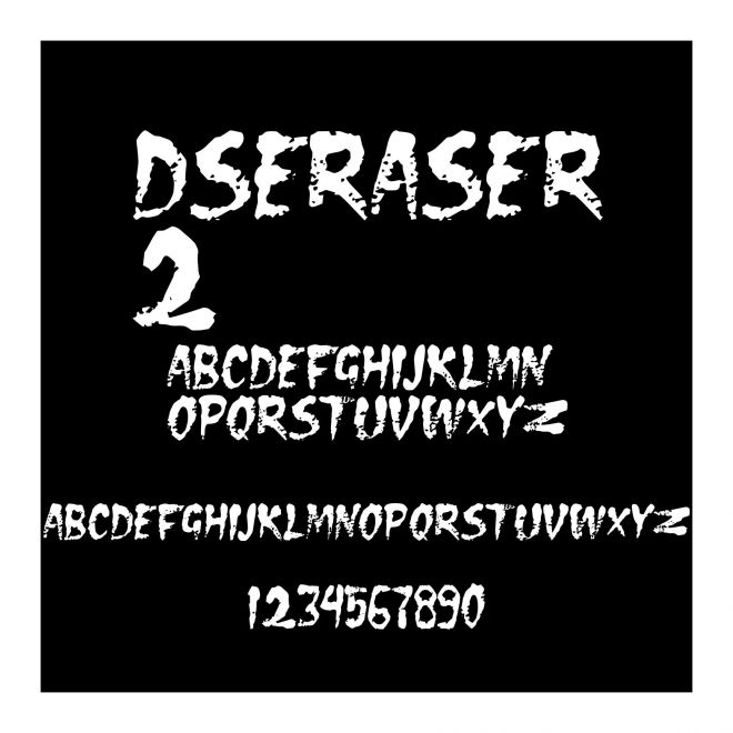 DSEraser2