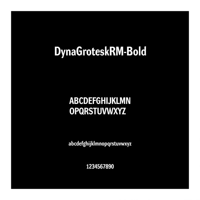 DynaGroteskRM-Bold