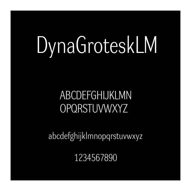 DynaGroteskLM
