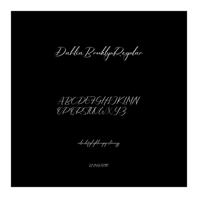 DahliaBrooklynRegular