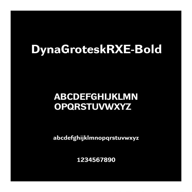DynaGroteskRXE-Bold