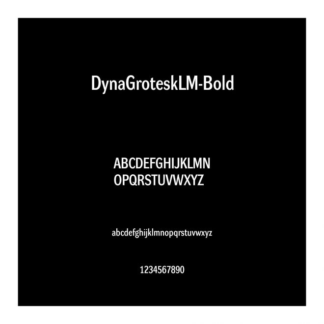 DynaGroteskLM-Bold