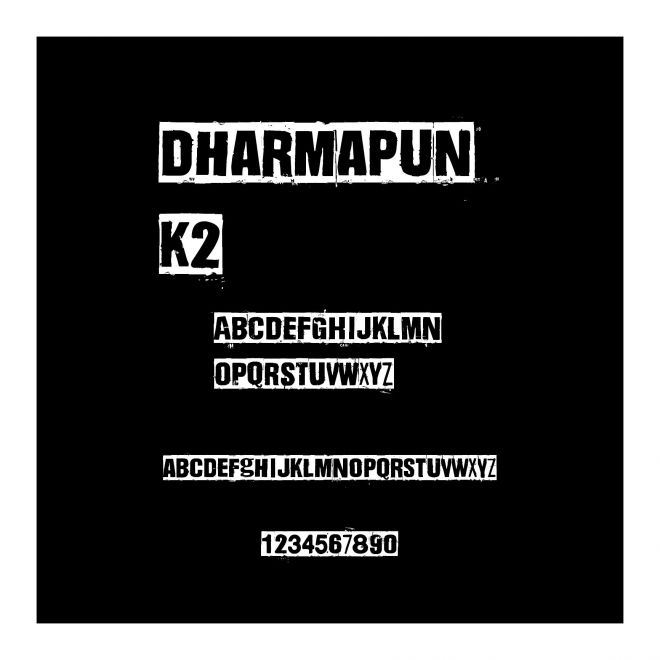 DharmaPunk2
