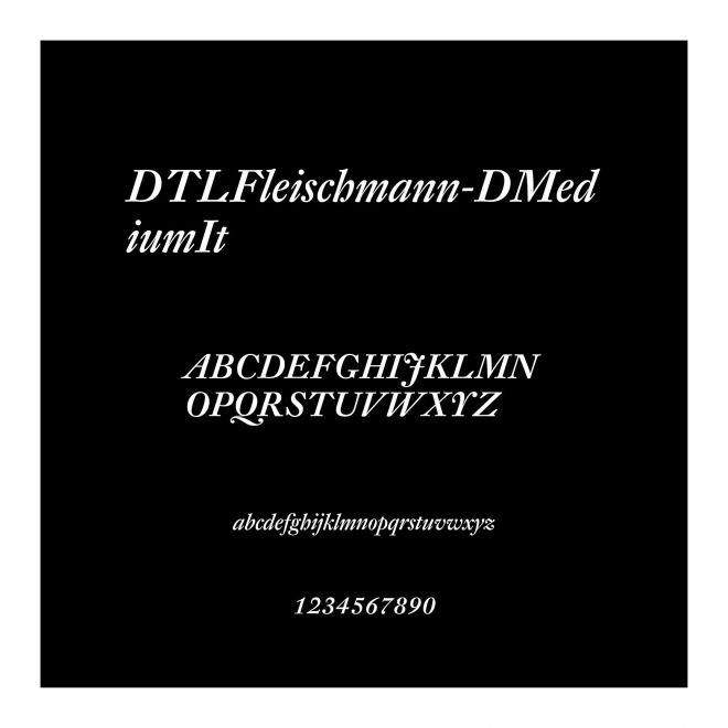 DTLFleischmann-DMediumIt
