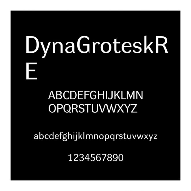 DynaGroteskRE