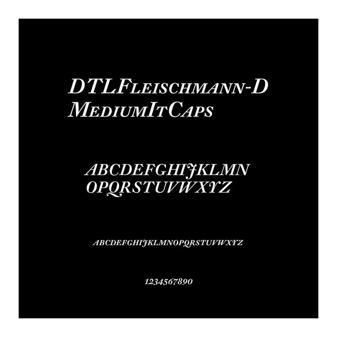 DTLFleischmann-DMediumItCaps
