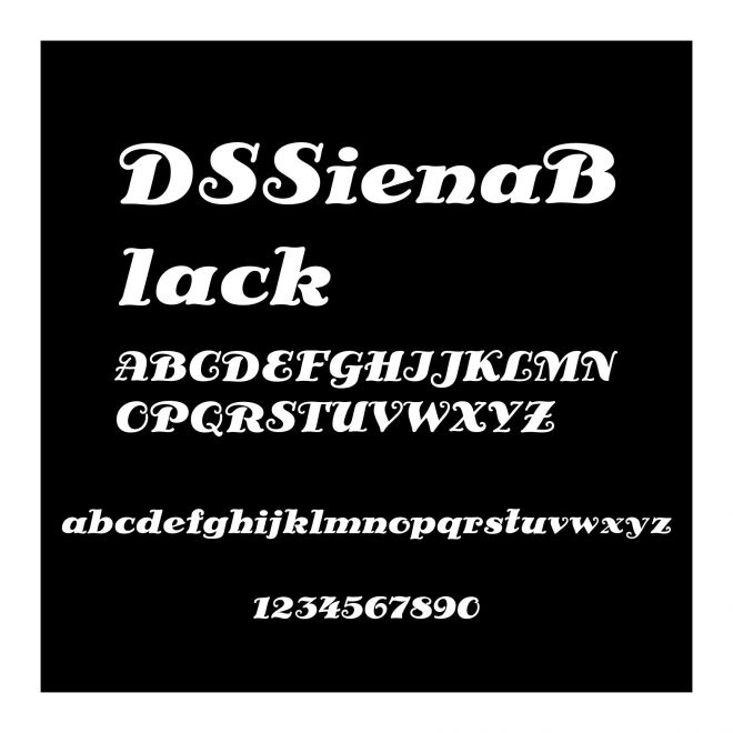 DSSienaBlack