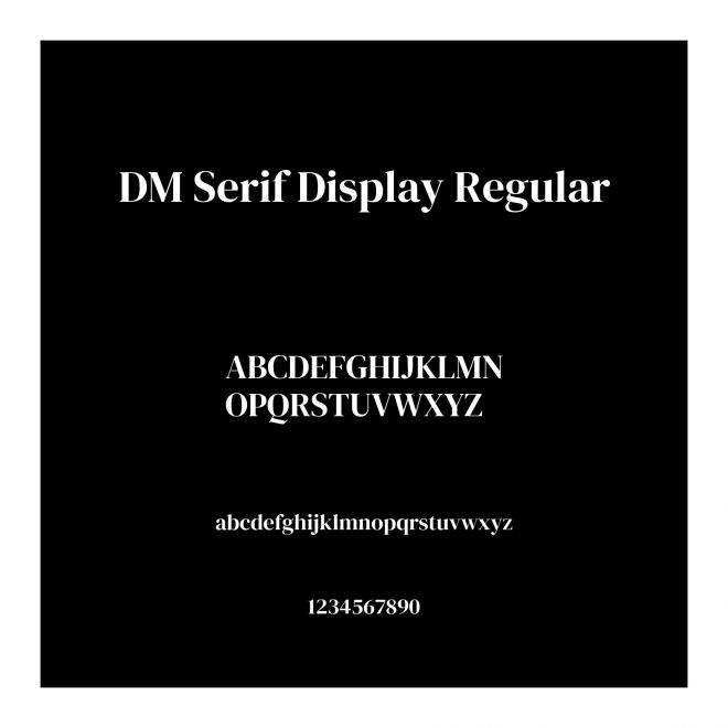DM Serif Display Regular