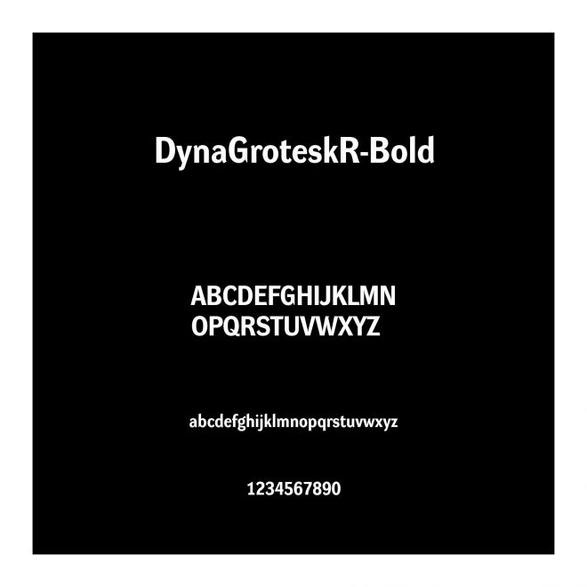 DynaGroteskR-Bold