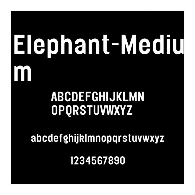 Elephant-Medium