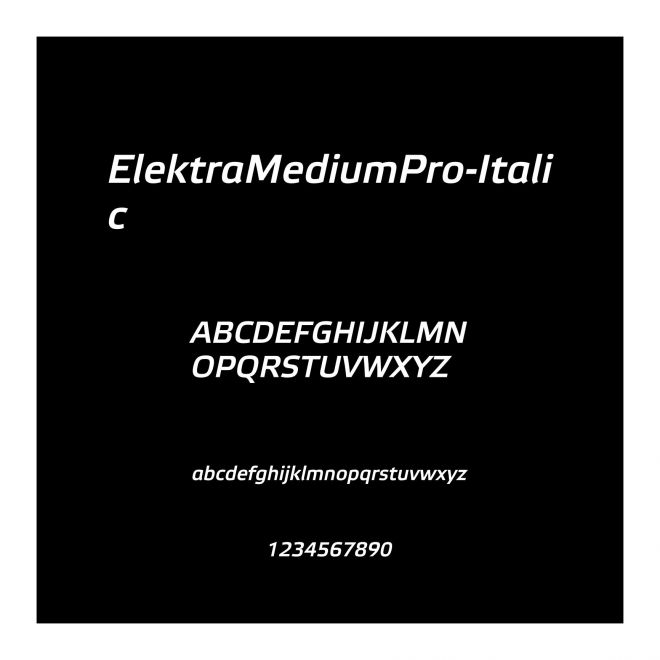 ElektraMediumPro-Italic