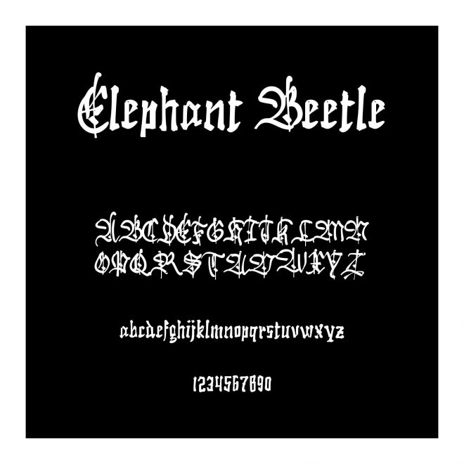 Elephant Beetle