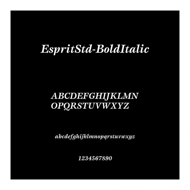 EspritStd-BoldItalic