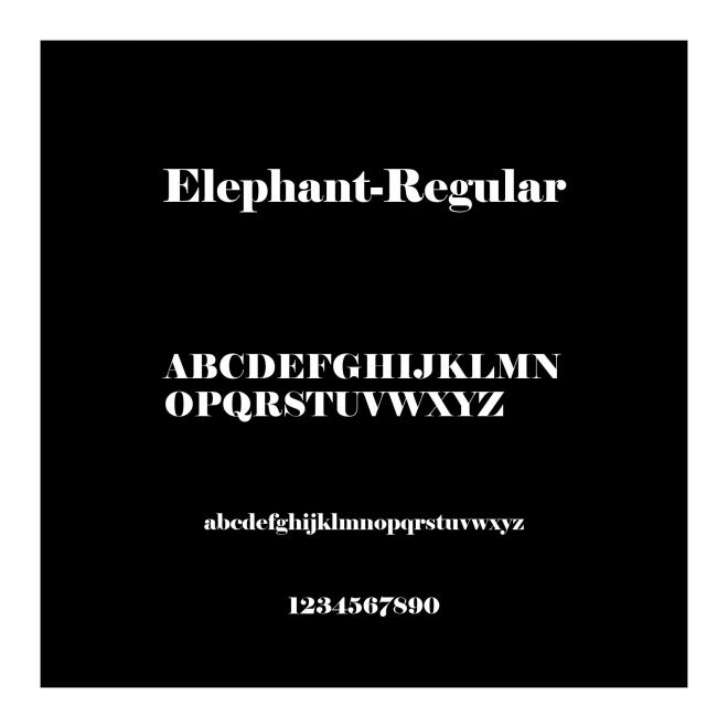 Elephant-Regular