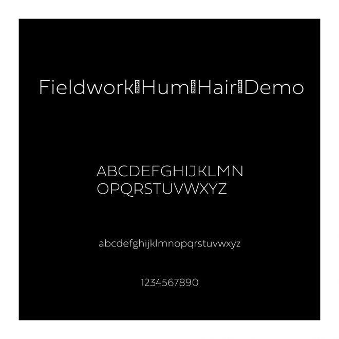 Fieldwork-Hum-Hair-Demo