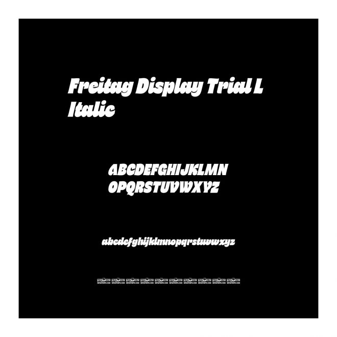 Freitag Display Trial L Italic