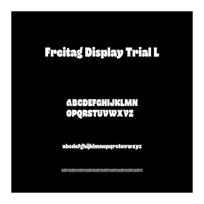 Freitag Display Trial L