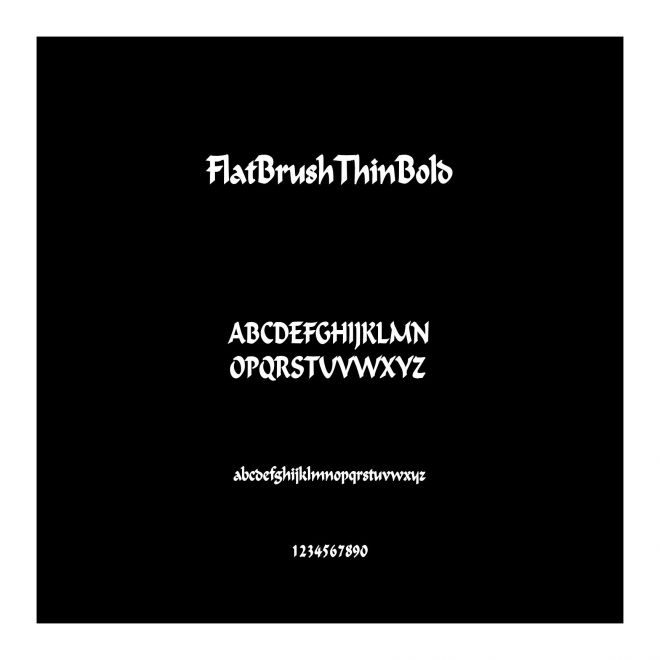 FlatBrushThinBold