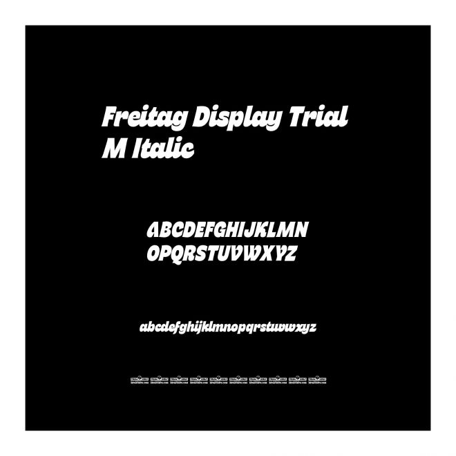 Freitag Display Trial M Italic