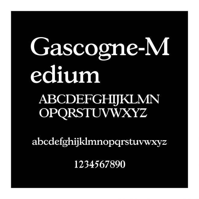 Gascogne-Medium