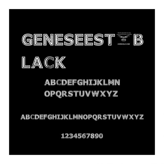 GeneseeSt-Black