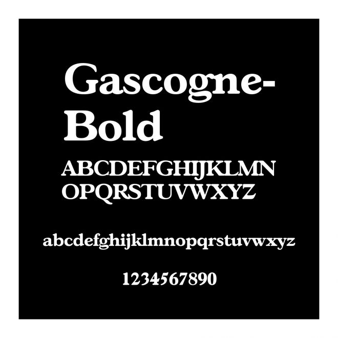Gascogne-Bold
