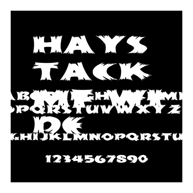 HayStackMF Wide