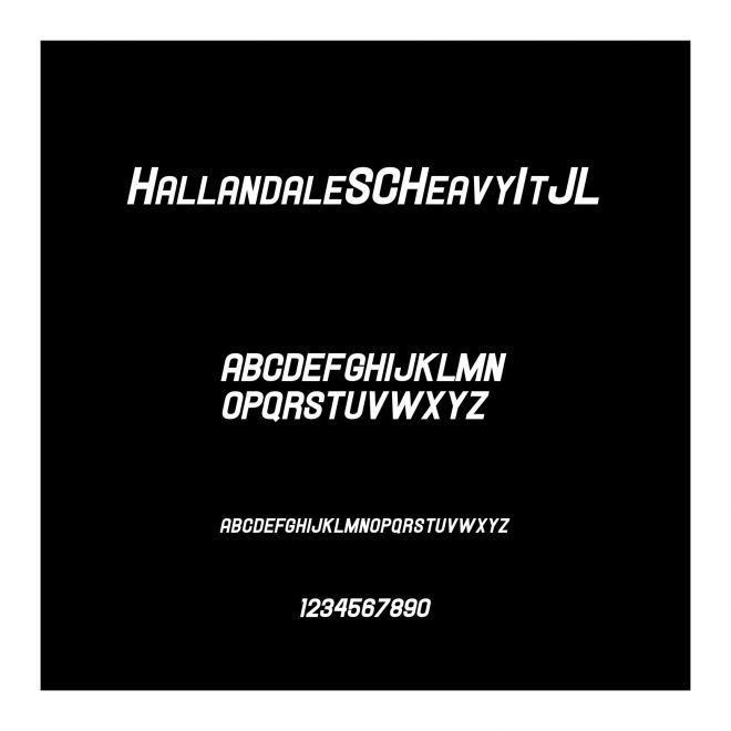 HallandaleSCHeavyItJL