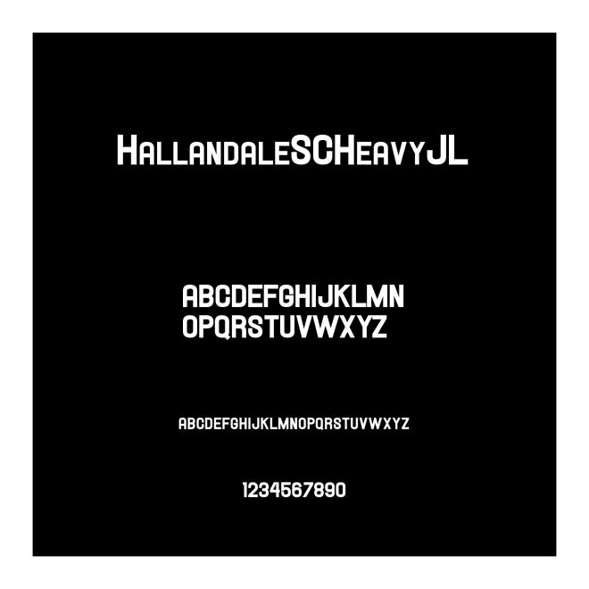 HallandaleSCHeavyJL