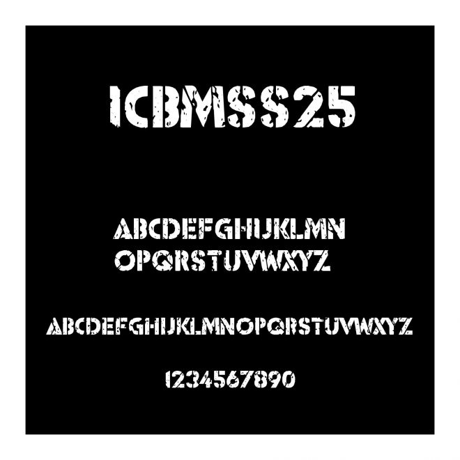ICBMSS25