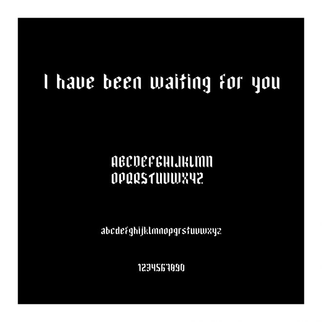 I have been waiting for you