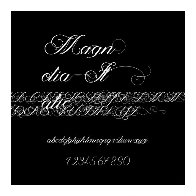 Magnolia-Italic