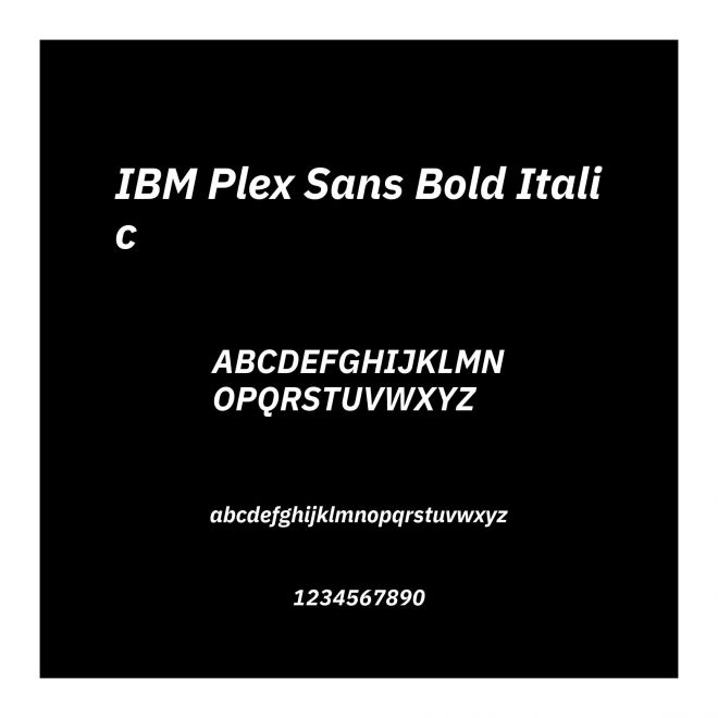 IBM Plex Sans Bold Italic