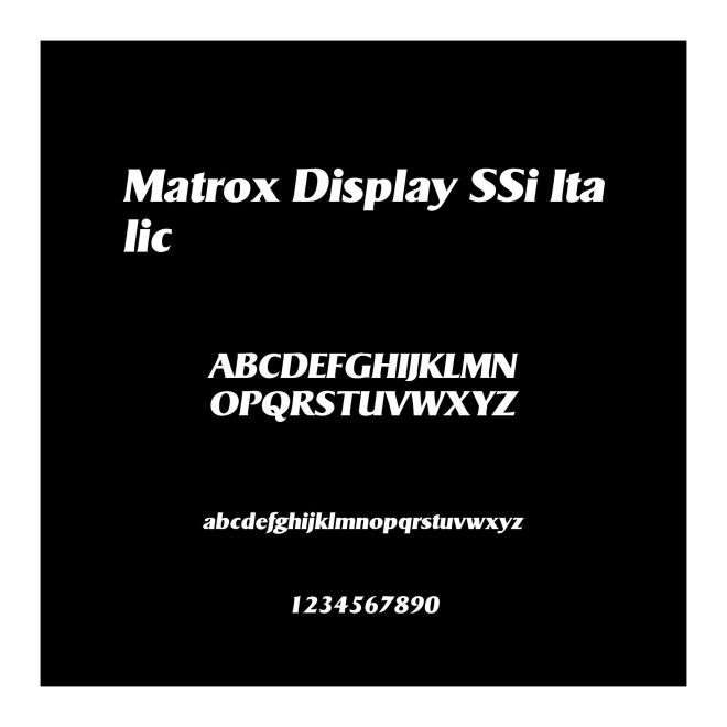 Matrox Display SSi Italic