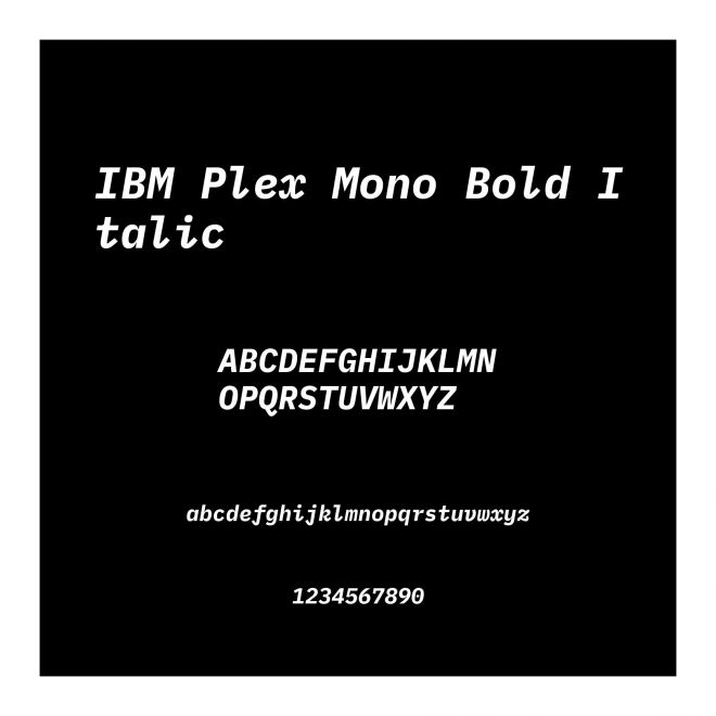 IBM Plex Mono Bold Italic