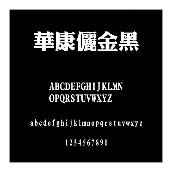 華康儷金黑