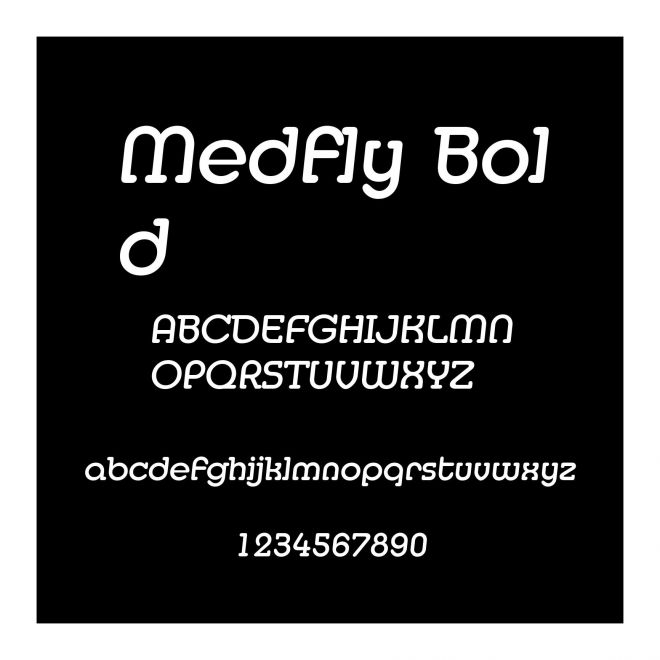 Medfly Bold